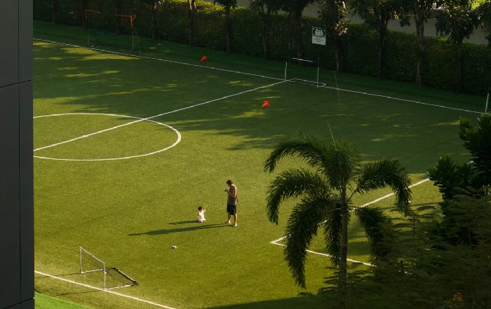 Article Image for Beyond the Scoreboard: How Clubs Manage Player Development and Loans