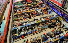 Article Image for Brands Building Trust Across Global Markets