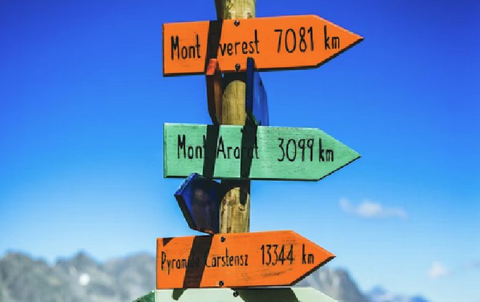 Article Image for Career Paths With Worldwide Opportunities