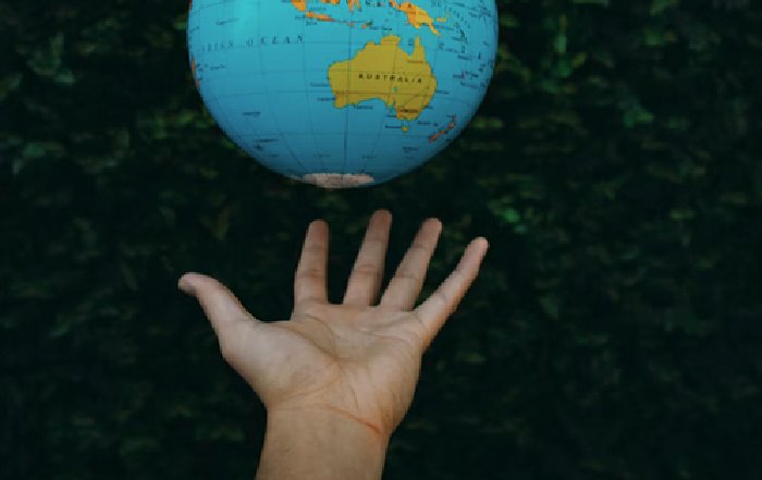 Article Image for Careers With International Growth Potential