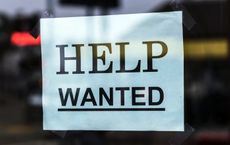 Article Image for Employment Opportunities In High Demand Worldwide