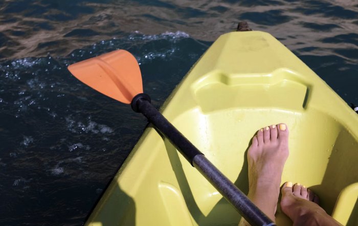 Article Image for Sports Adventures For Fans And Travelers