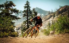 The Allure of Mountain Biking Trails